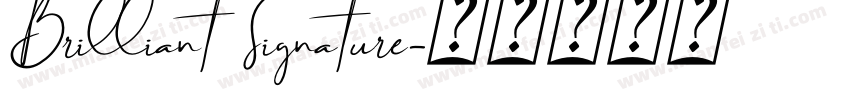 Brilliant Signature字体转换